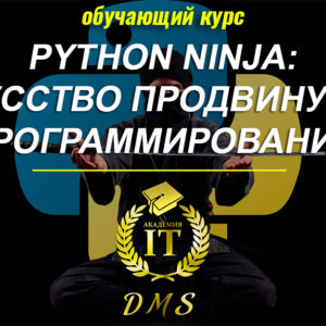 Изображение курса Python Ninja