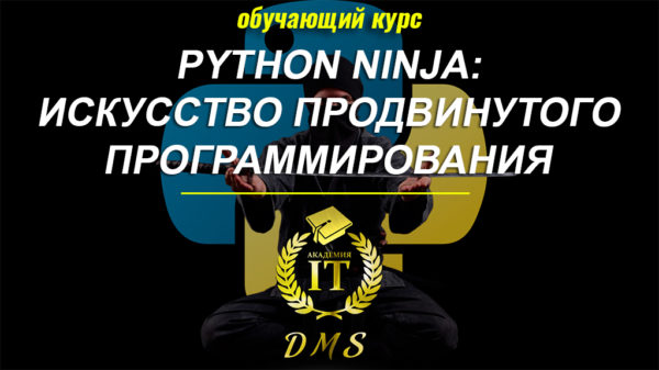 Изображение курса Python Ninja